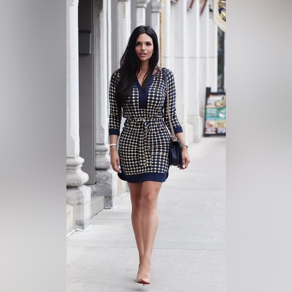 Ann Taylor Navy and Cream Long Sleeve Dress